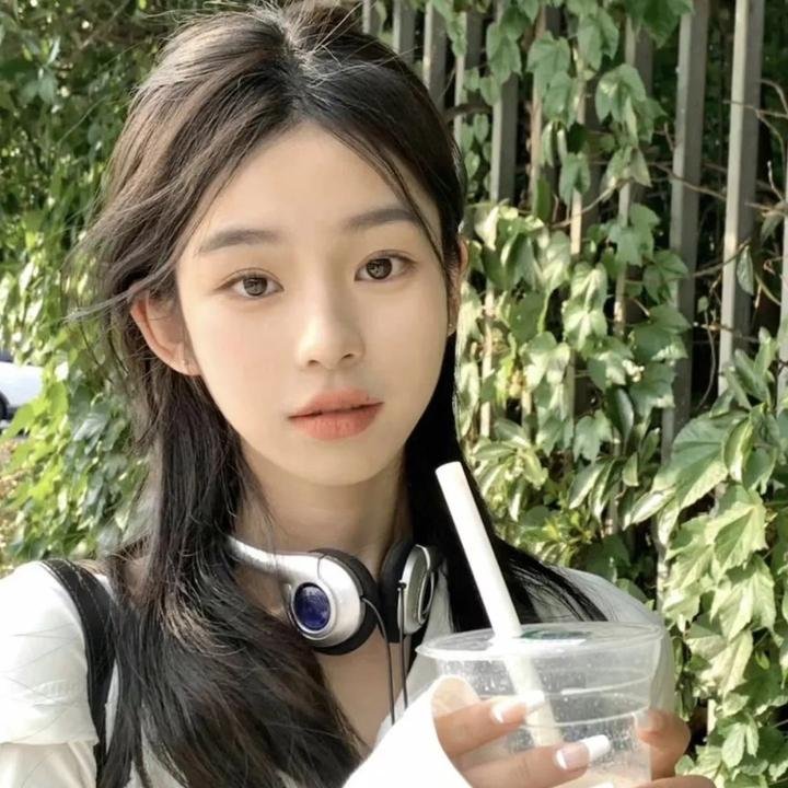 黄飞鸿义取丁财炮国语